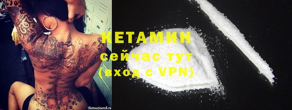 ECSTASY Богородицк