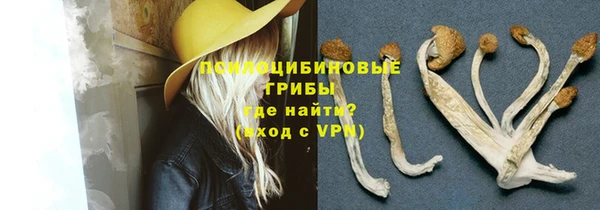 ешки Белокуриха