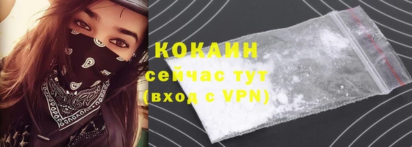 ECSTASY Богородицк