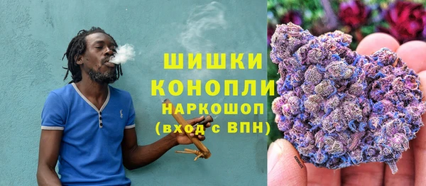 ECSTASY Богородицк