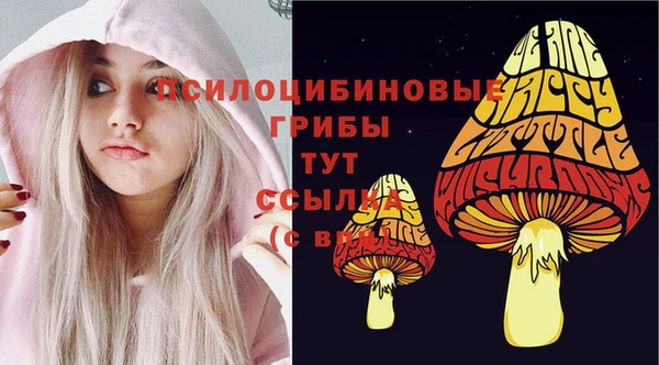 дмт Богородск