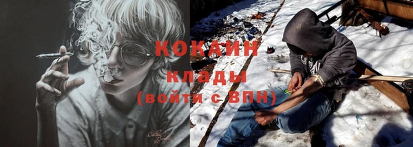 дмт Богородск